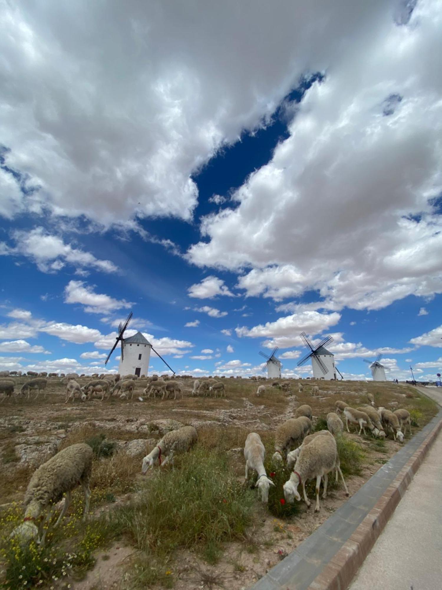 Casa La Maquica Βίλα Campo De Criptana Εξωτερικό φωτογραφία